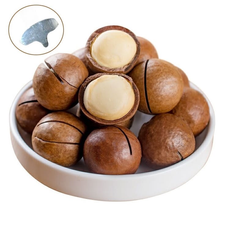 Macadamia with Shell